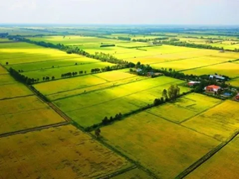 Luật đất đai năm 2024: Xác nhận tiếp tục sử dụng đất nông nghiệp của cá nhân khi hết thời hạn sử dụng đất