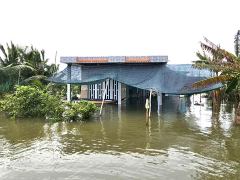 Đồng Tháp Mười: Mùa đỉnh lũ, nước dâng cao hơn năm trước