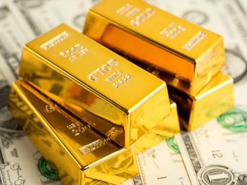 Truy tố 11 bị can trong đường dây buôn lậu vàng và trốn thuế