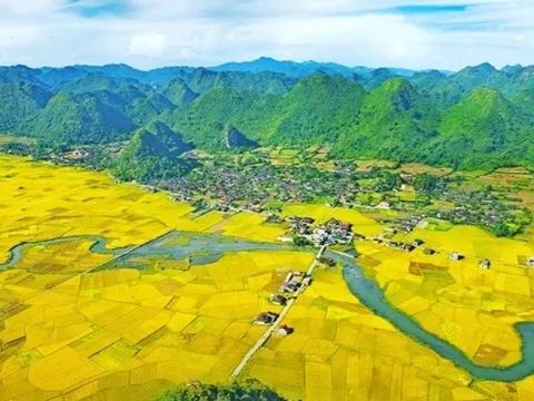 Hiệp hội Bất động sản TP.HCM (HoREA) vừa kiến nghị giảm mạnh tiền sử dụng đất khi chuyển mục đích