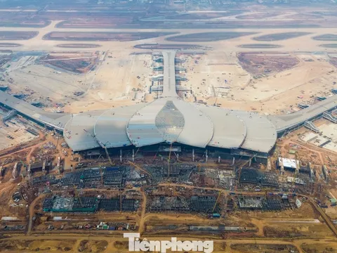 Chủ tịch ACV bị bắt, sân bay Long Thành sẽ ra sao?