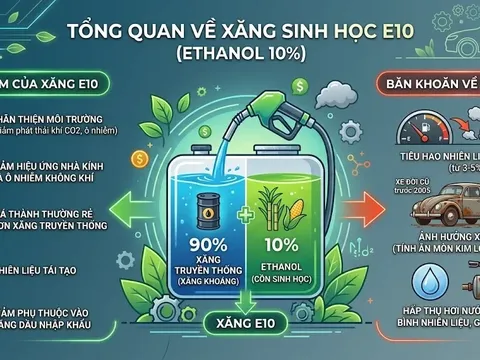 Xe sản xuất từ năm 2011 trở đi được thiết kế để sử dụng xăng E10