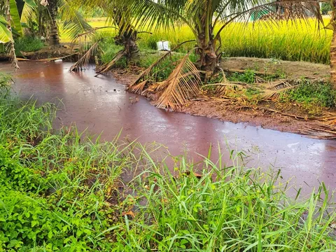 Tây Ninh: Nước thải từ khu công nghiệp chảy tràn ra kênh rạch