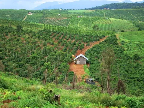 Quy định về chuyển mục đích sử dụng đất theo Nghị định số 49/2026/NĐ-CP