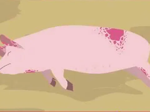 Đồng Nai: Phát hiện heo bệnh và thịt heo đã bốc mùi hôi