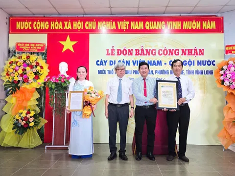 Bến Tre - Vĩnh Long: Đón Bằng công nhận Cây Di sản Việt Nam đối với cây Gội nước