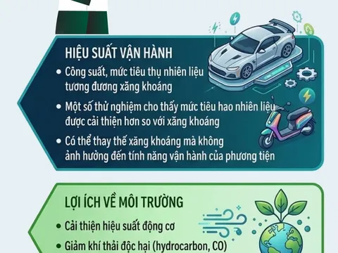Các biện pháp khắc phục và bảo vệ động cơ cũ khi xăng sinh học