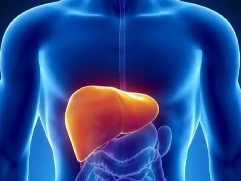 Những đồ uống tưởng vô hại nhưng có thể khiến gan “quá tải”