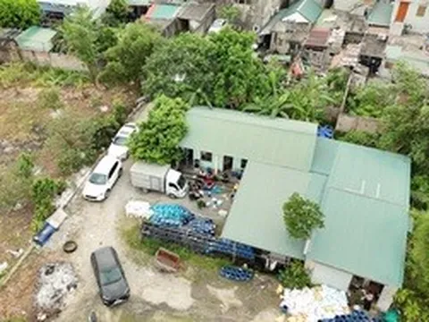 Bắt 2 chủ cơ sở sản xuất giá đỗ bằng chất cấm  nguy cơ gây ung thư